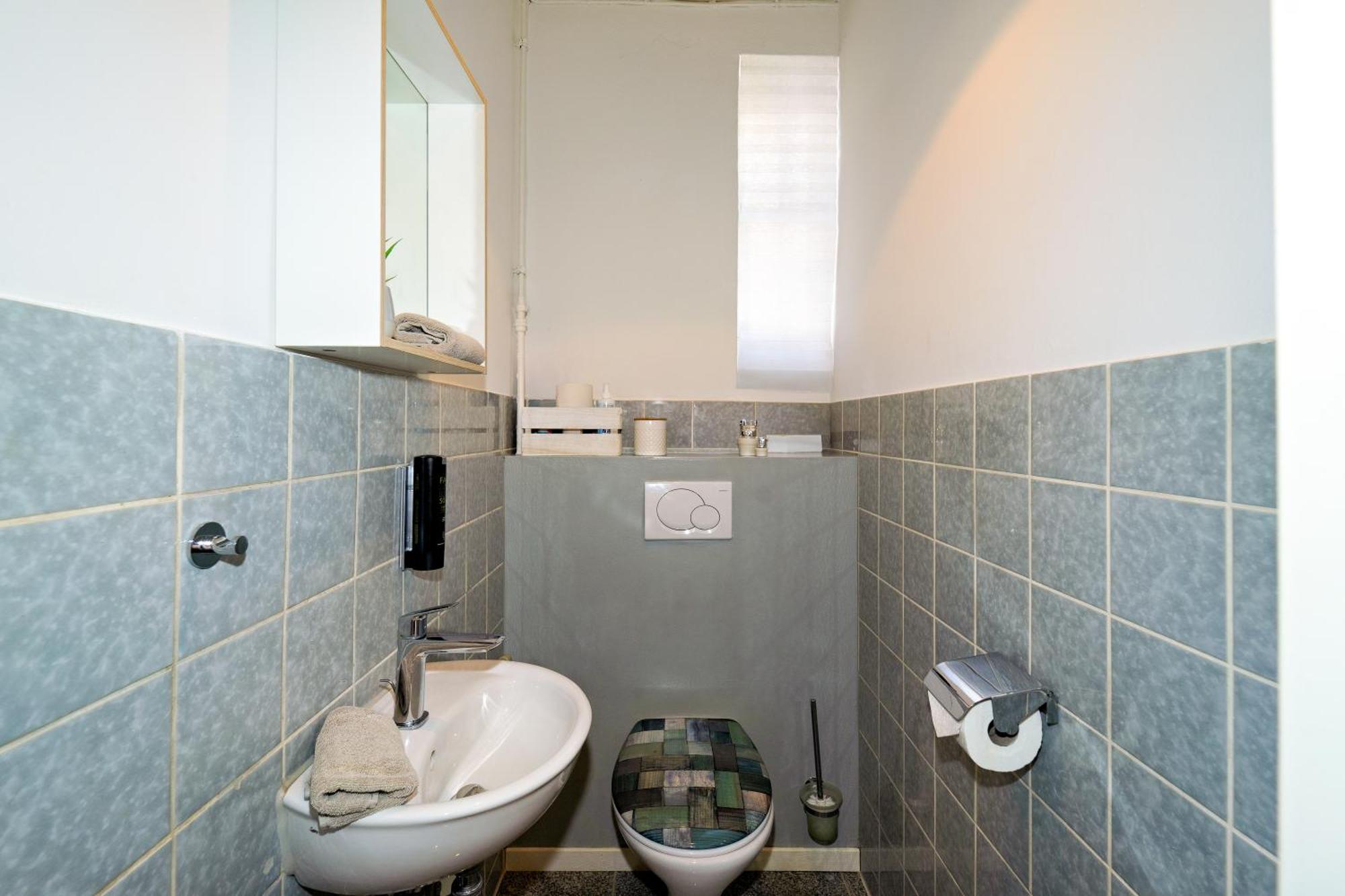 Loft House 170qm, Central, Own Garden, Parking Lot * Offenbach am Main